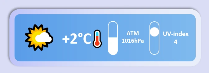Summary weather information