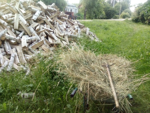 Lawn mower harvests grass