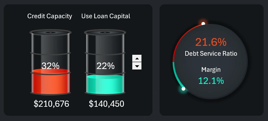 Margin vs Debt Load