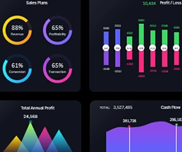 Business Intelligence