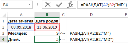 срок беременности от даты зачатия.