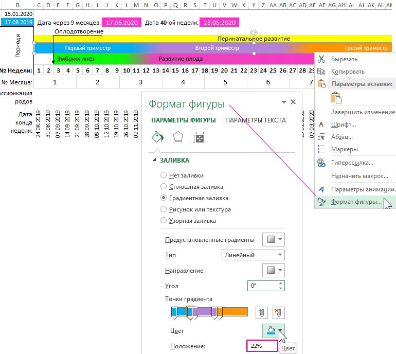 Триместры беременности.